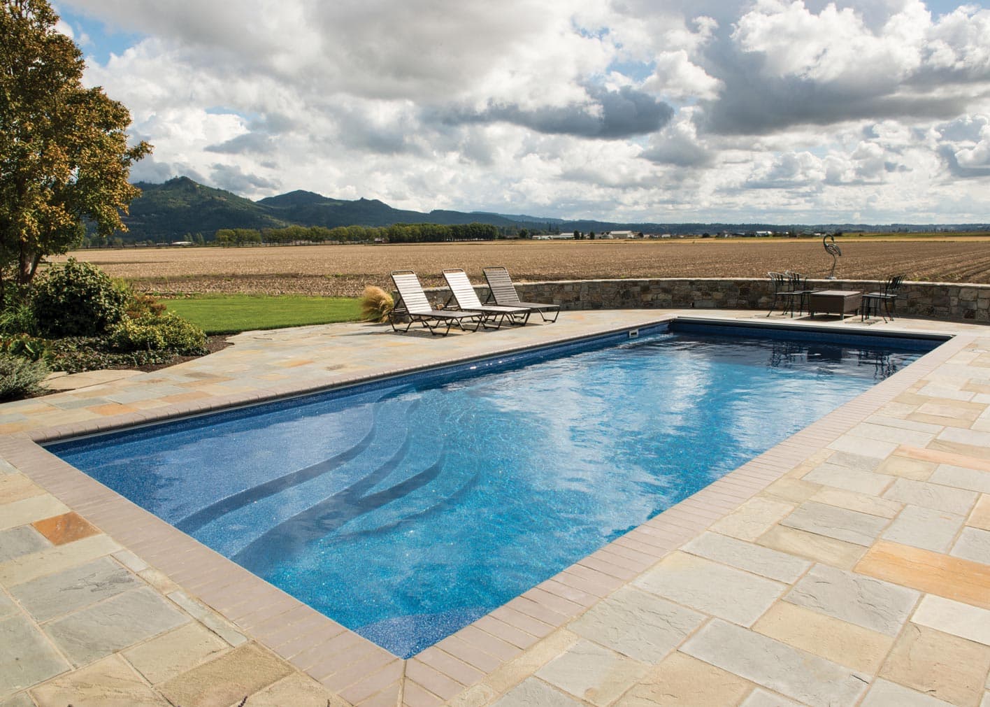 Olympia 16 gallery image 3